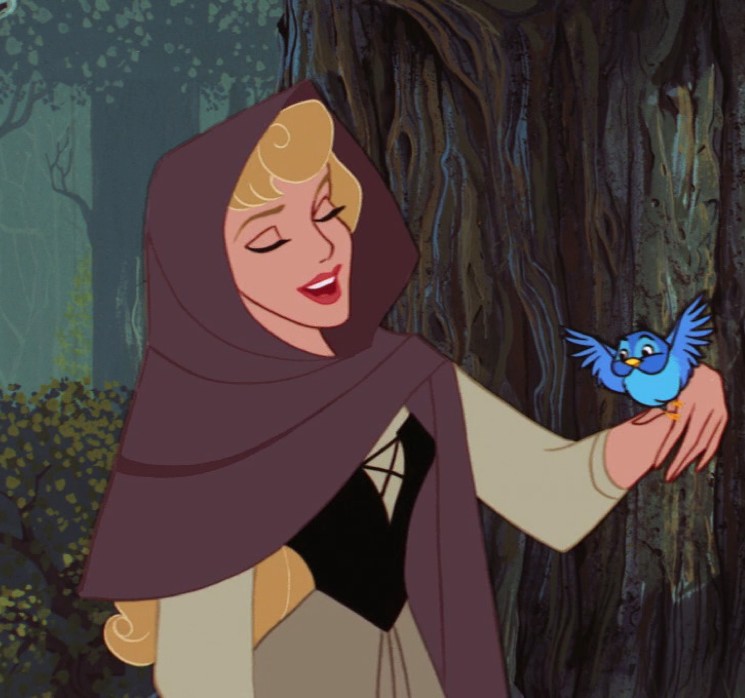 Sleeping Beauty Fairy Godmother Porn - Online privacy and identity â€“ and Disney Princesses! | Paul ...